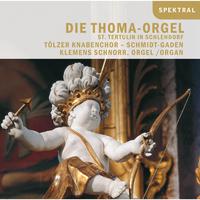 Die Thoma-Orgel St. Tertulin in Schlehdorf