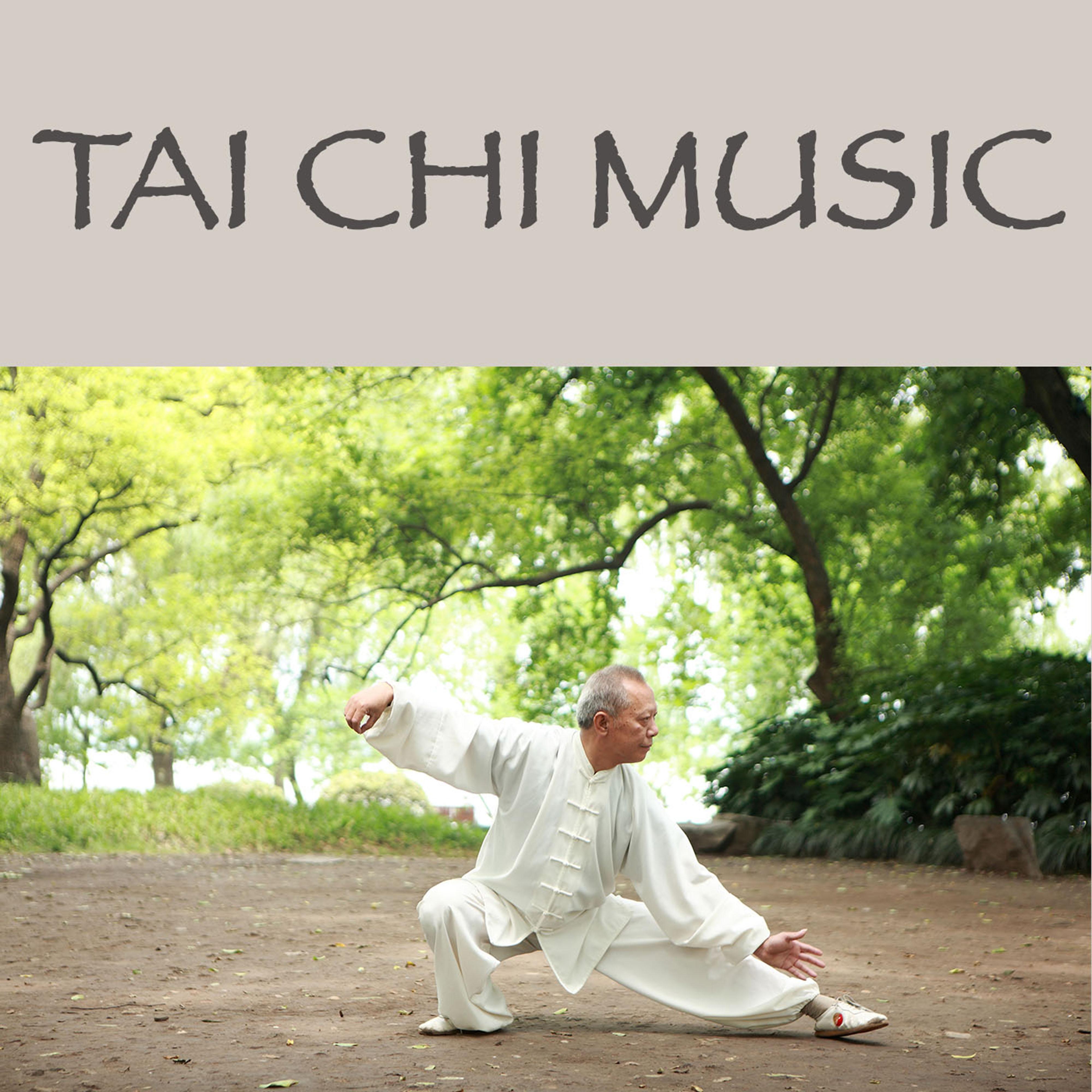 Shakuhachi Flute (Zen Music) Tai Chi 单曲 网易云音乐