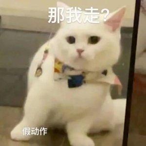 张张张子言
