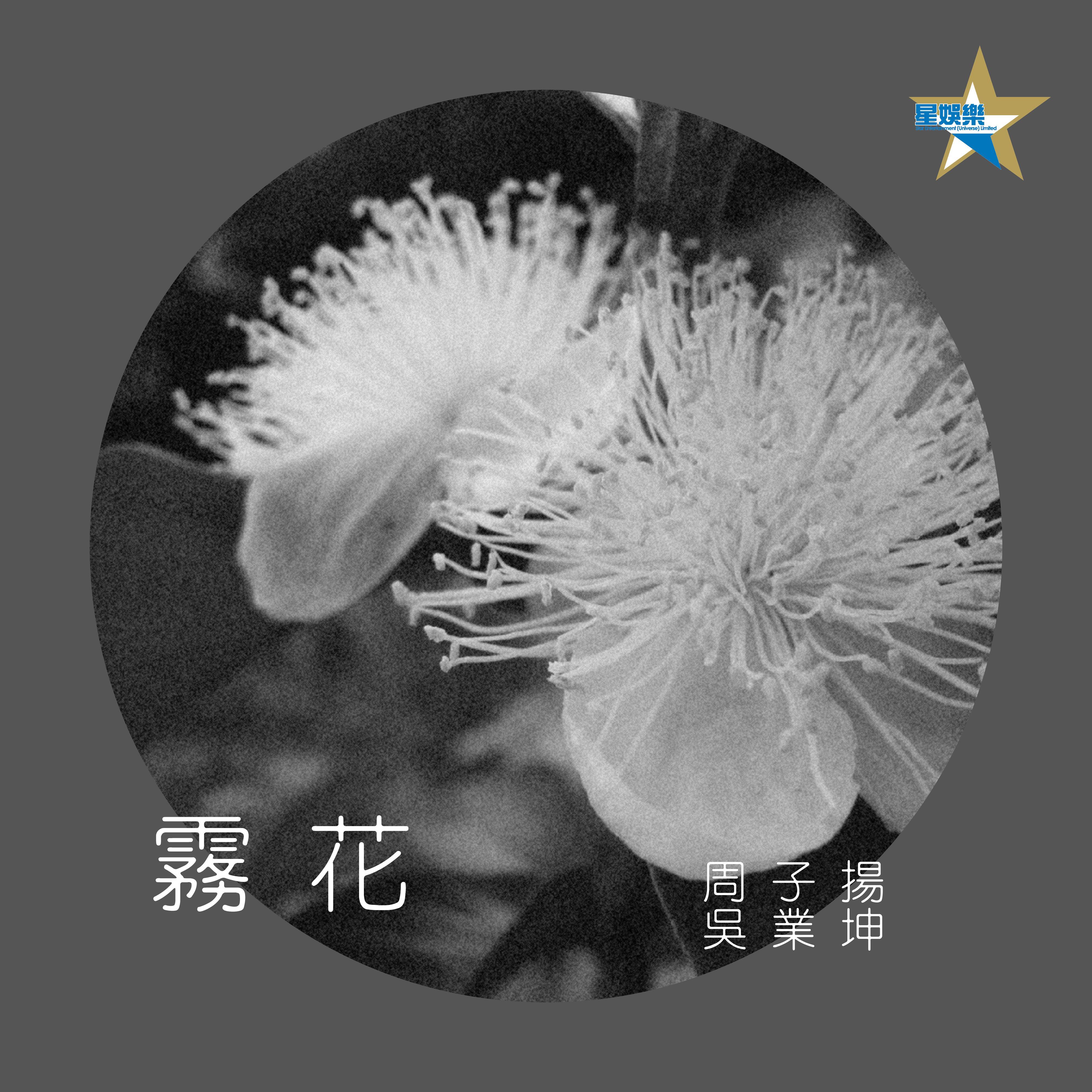 吴业坤 ·《雾花》
