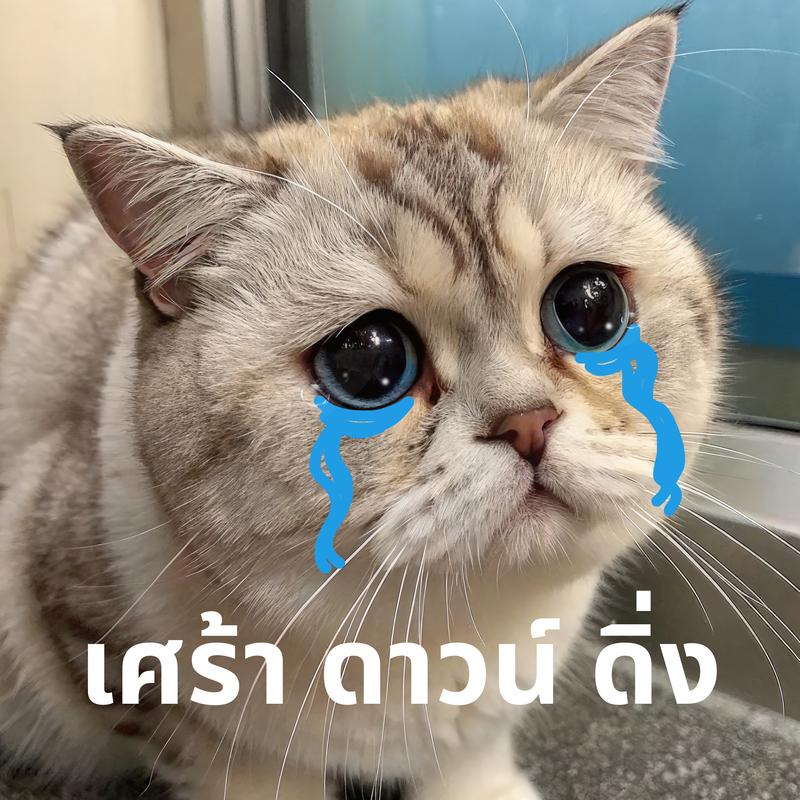 รักจริง (แค่เมื่อวาน)