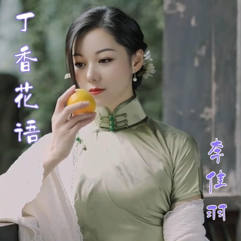 丁香花语 (DJ欧东版)封面