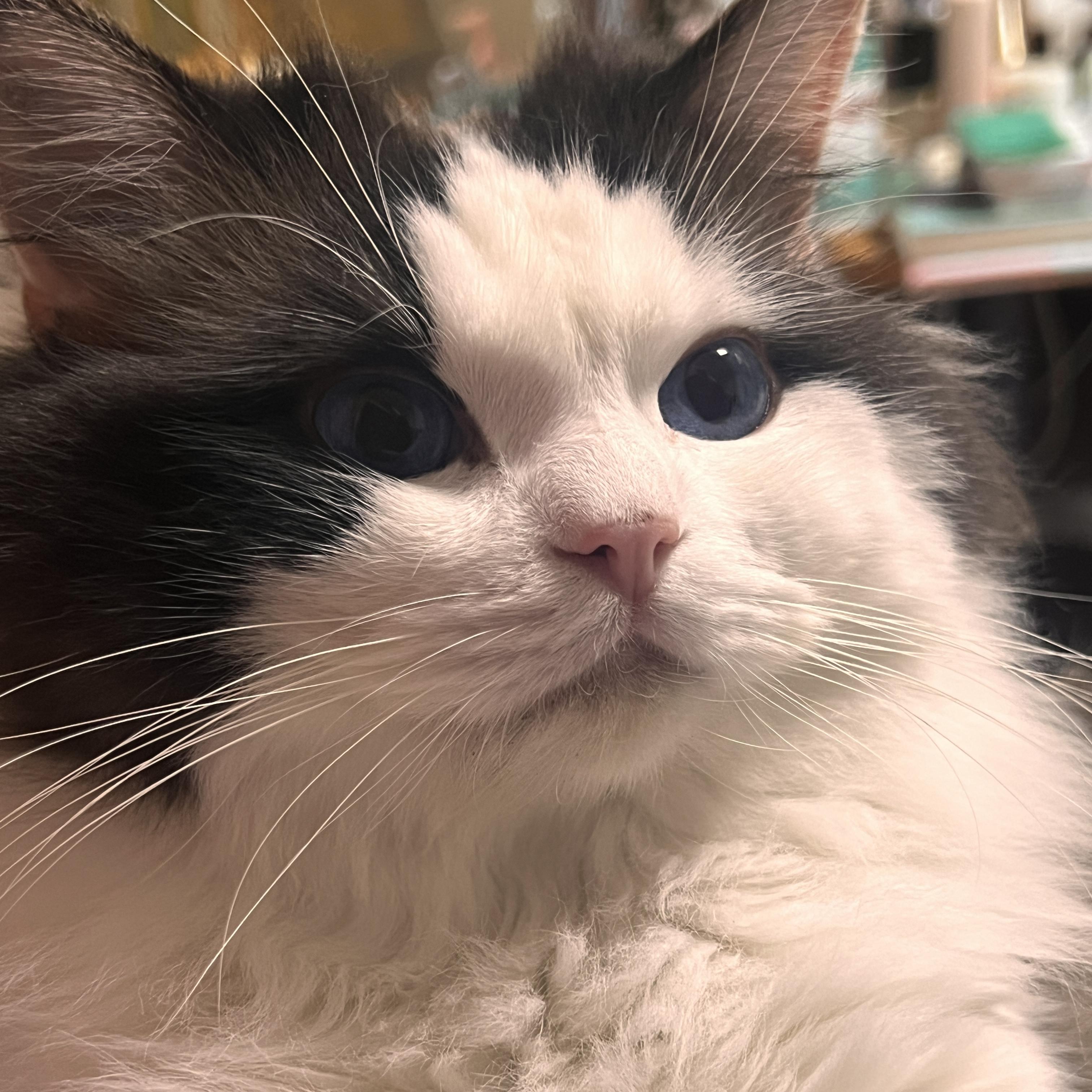 2025开车必听DY歌单