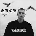 你说的那些谎话专辑