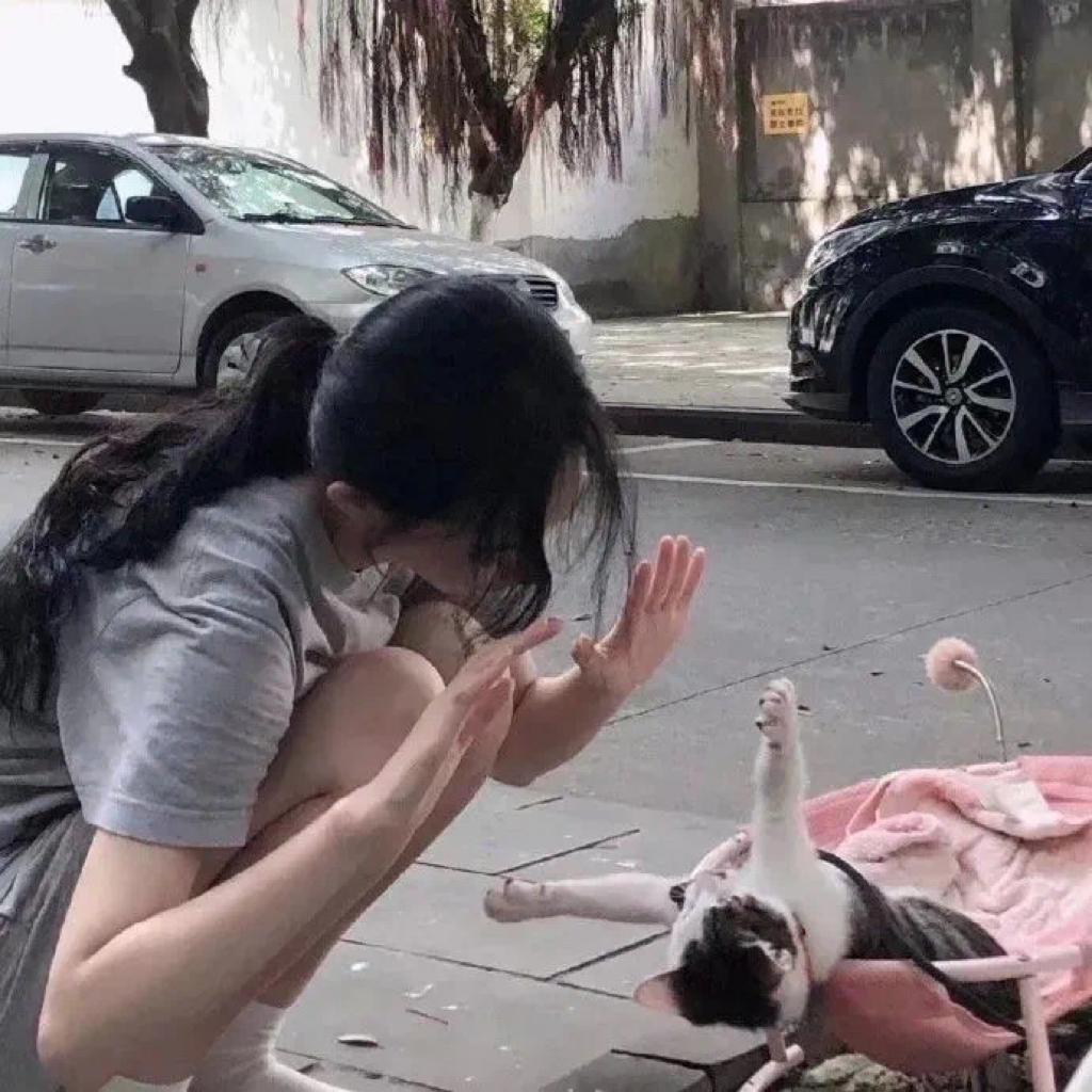 这一生是一场浪漫的康复.