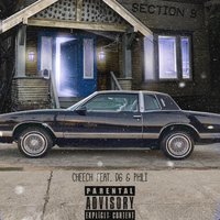 Section 8