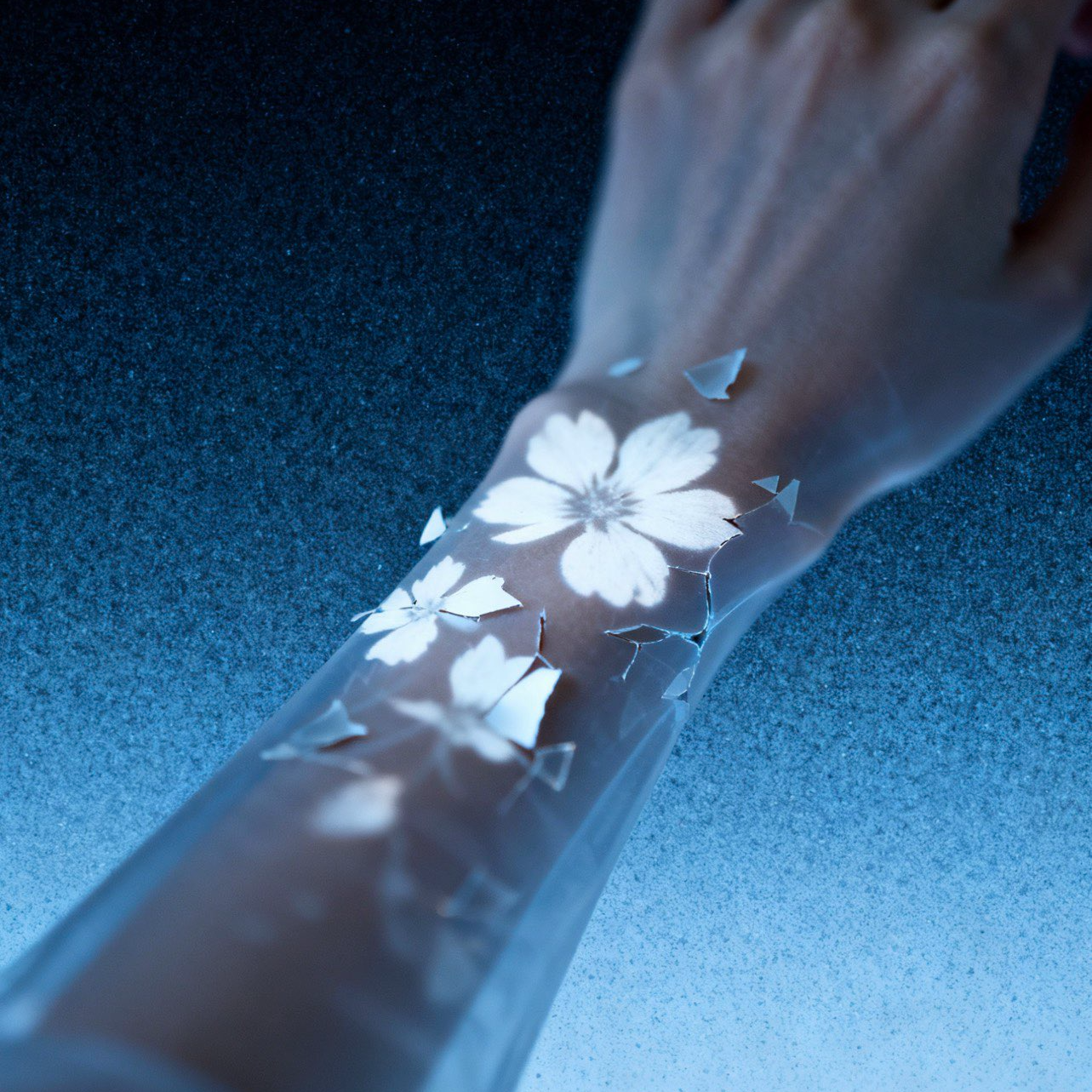 心疼你手腕开出的花