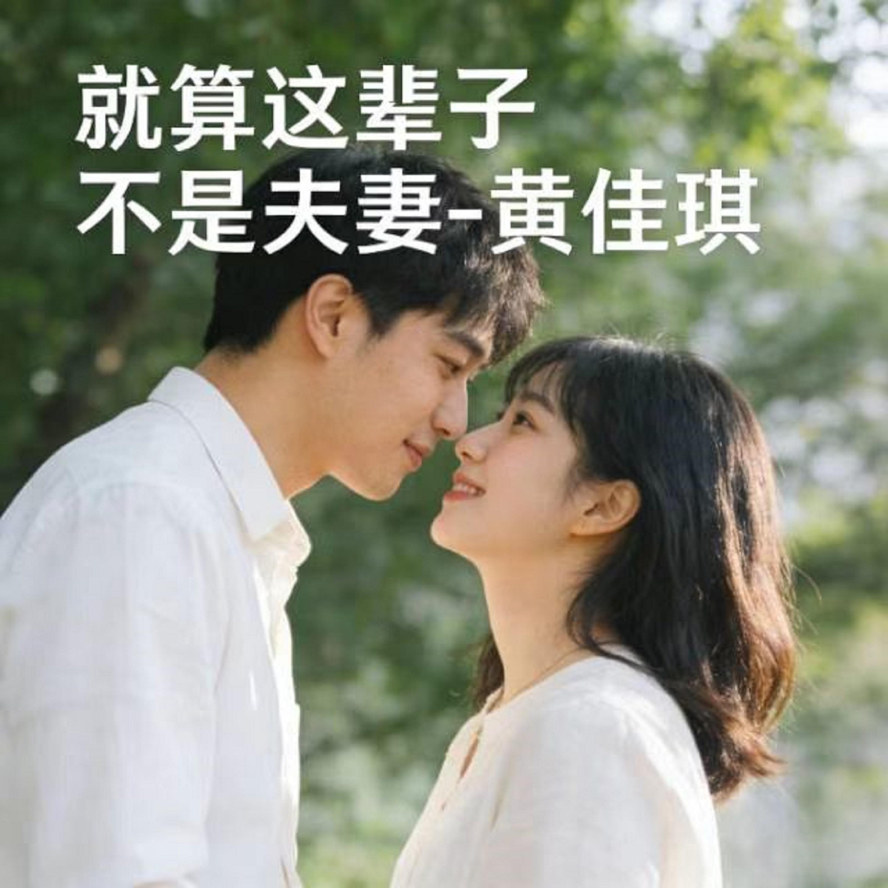 就算这辈子不是夫妻 (烟嗓版)封面