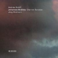 Brahms: Sonata for Clarinet and Piano No. 1 in F Minor, Op. 120 No. 1: 4. Vivace