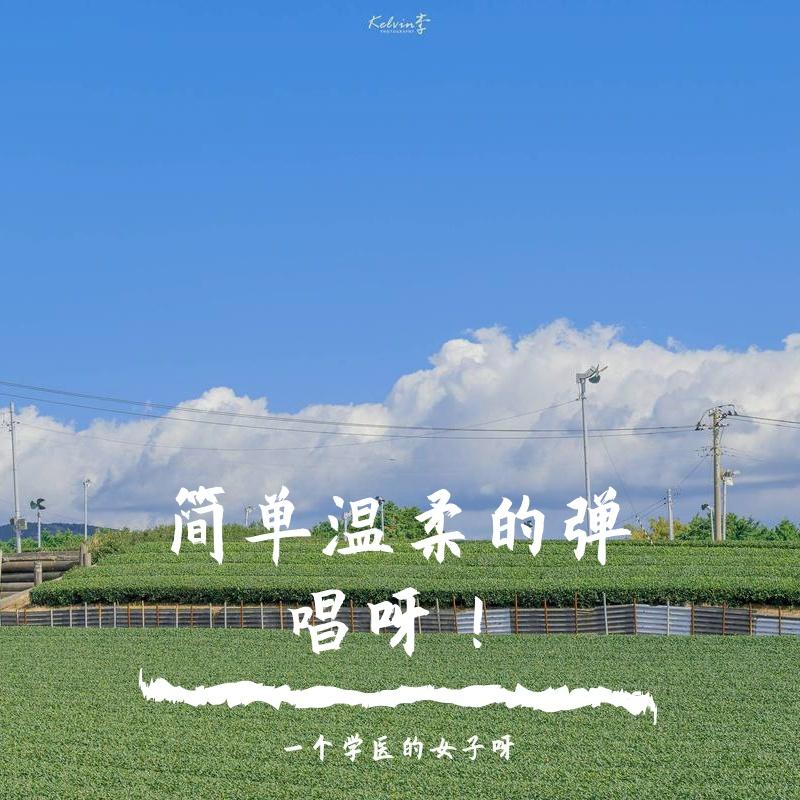 鸟语林封面