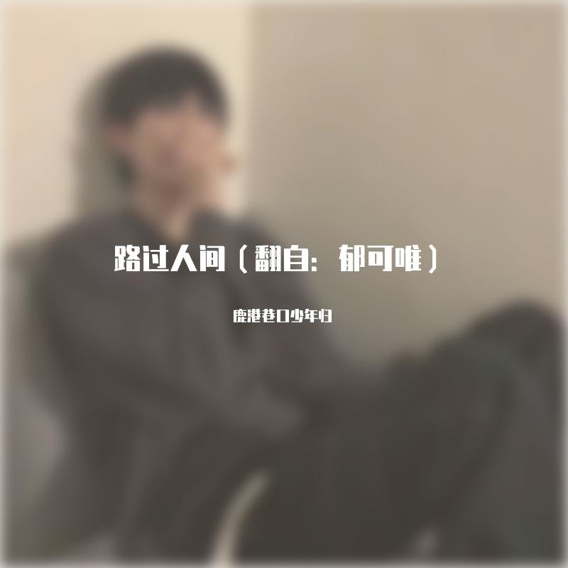 路过人间封面