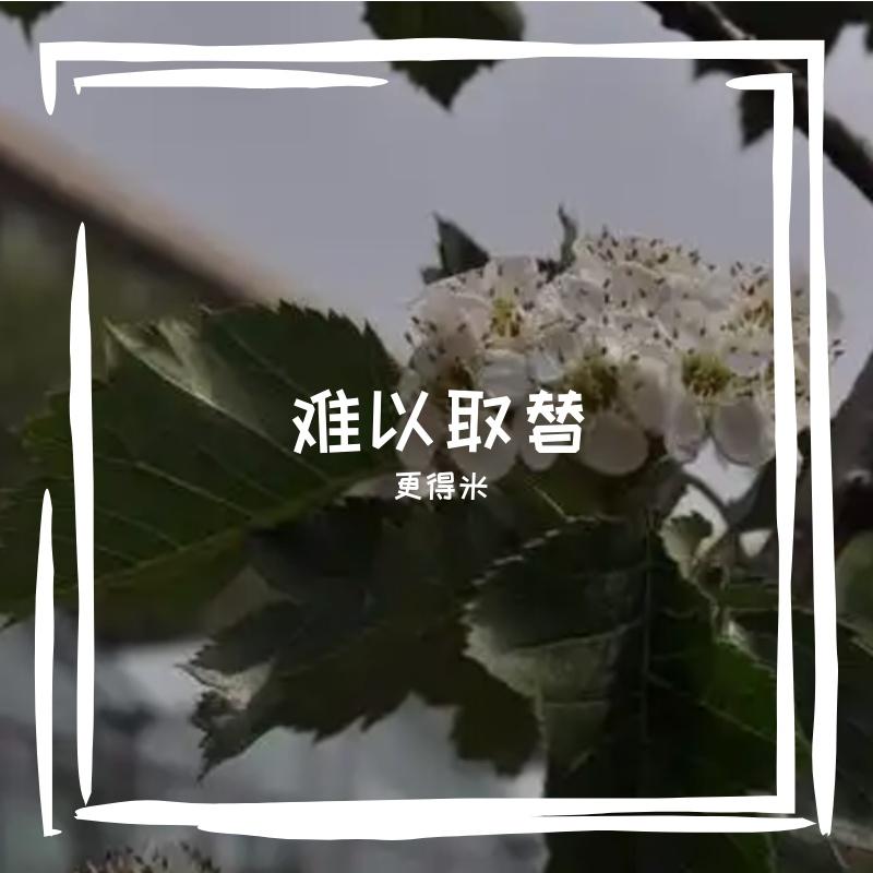 难以取替 伴奏封面