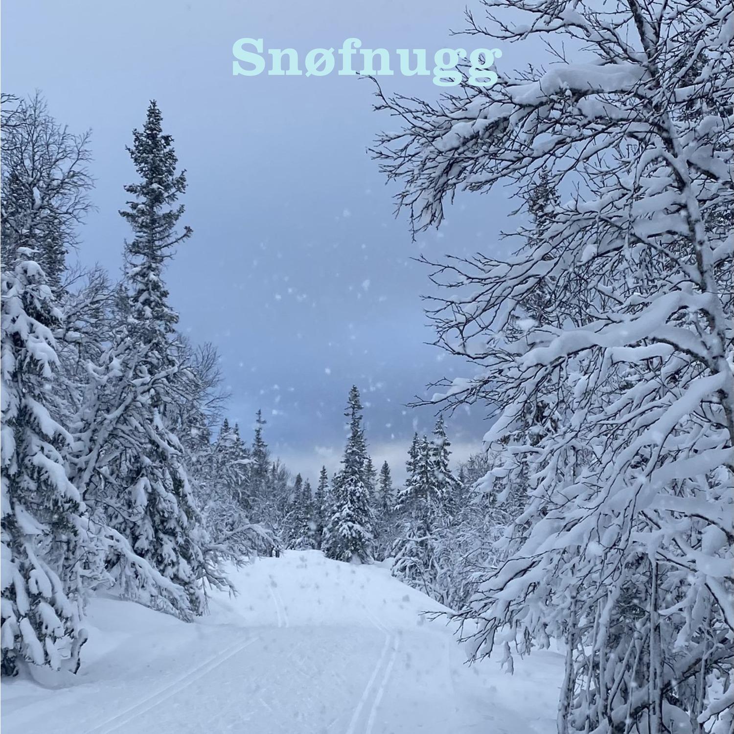 Snøfnugg