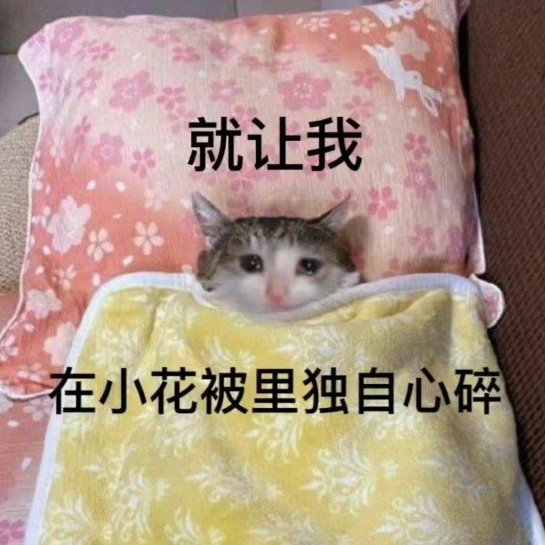 空気椅子封面