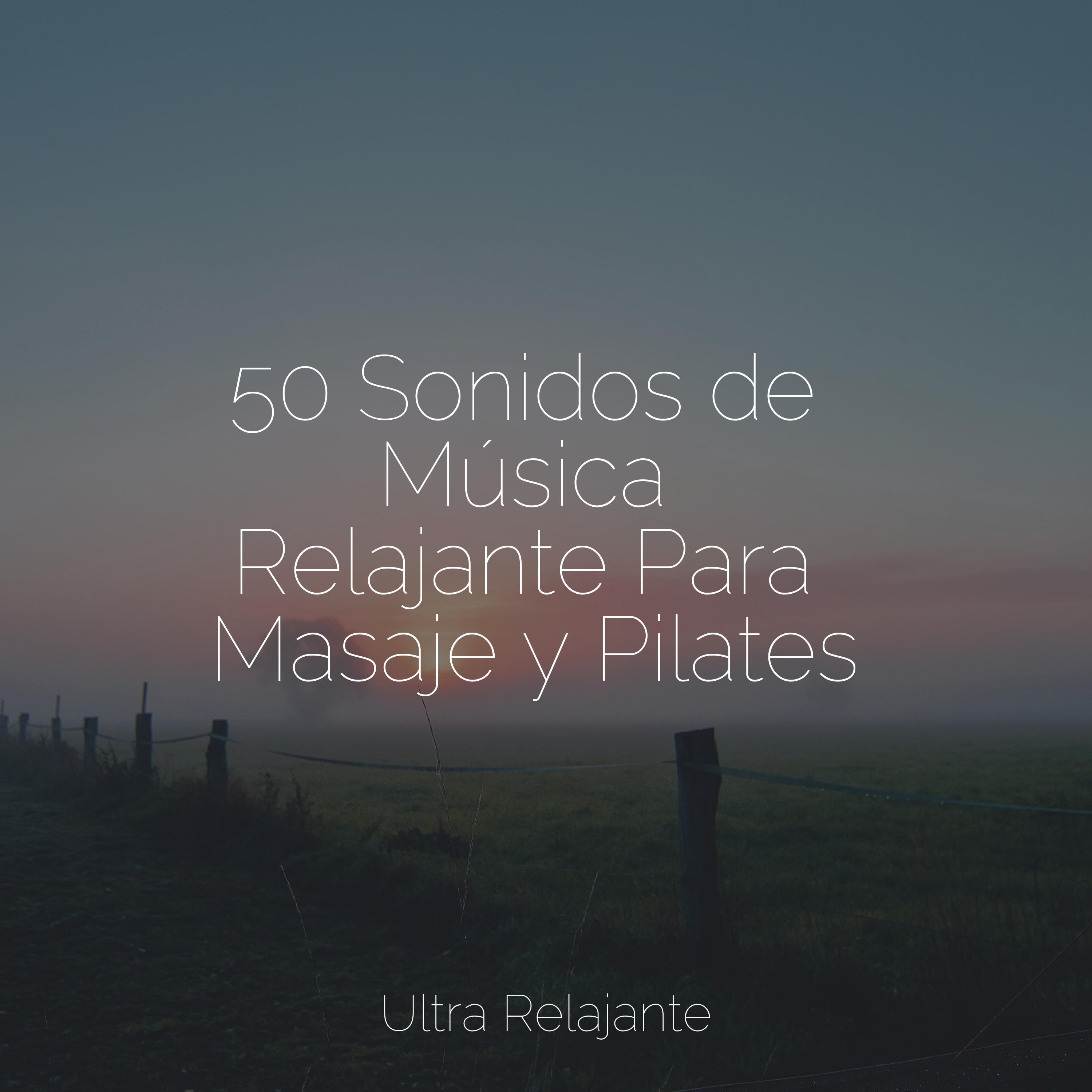 50 Sonidos De Música Relajante Para Masaje Y Pilates Meditação Zen