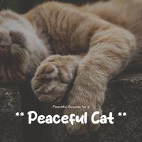 ** Peaceful Sounds for a Peaceful Cat **