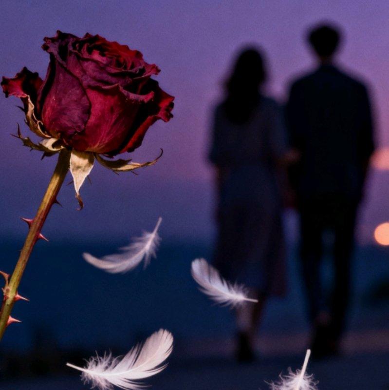 The last love(prod.nobirthday)