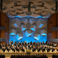 Minnesota Orchestra