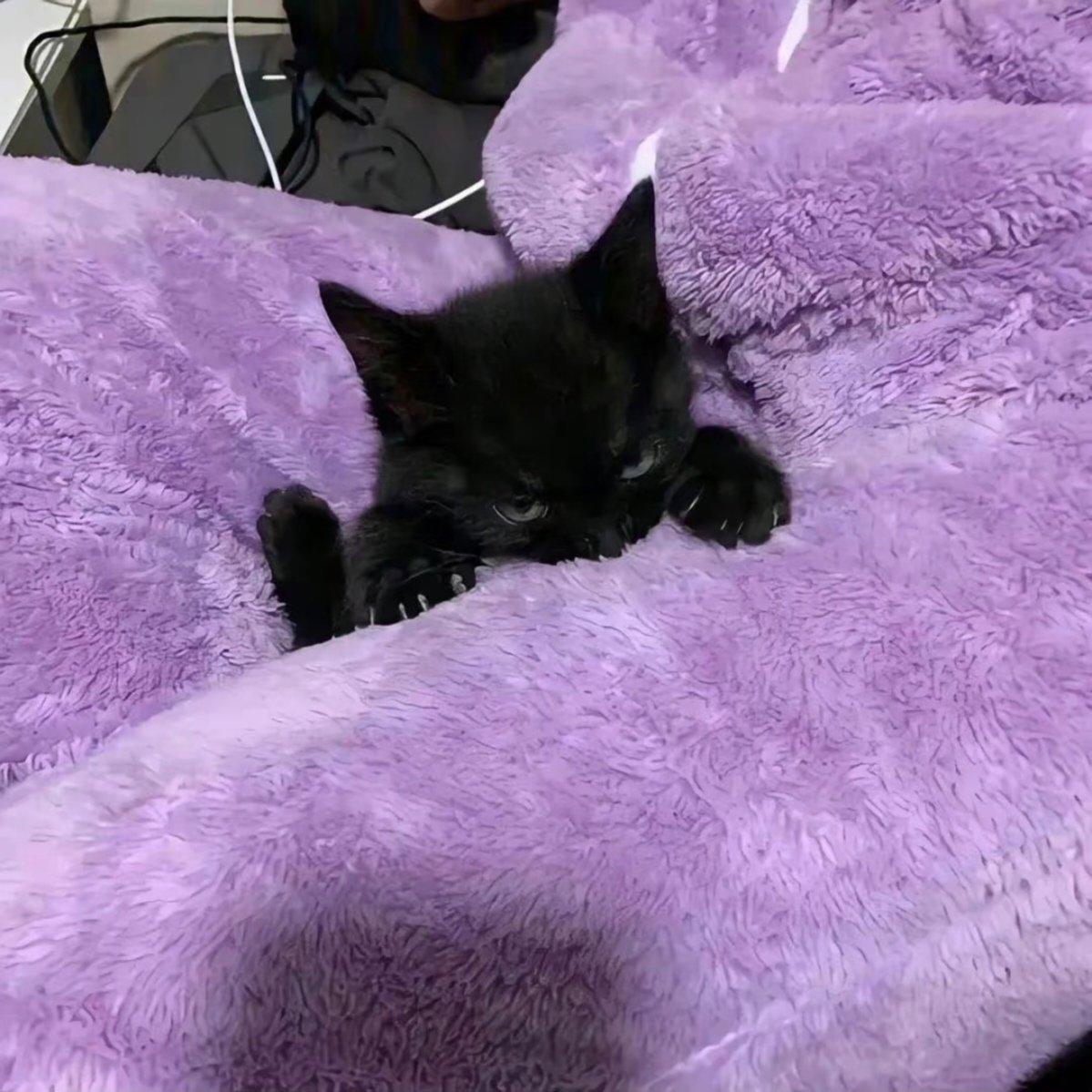 我要自己去买花-