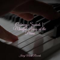 Relaxing Instrumental Jazz Academy - Majestic Equinox Hush