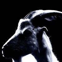 Jkidd资料,Jkidd最新歌曲,JkiddMV视频,Jkidd音乐专辑,Jkidd好听的歌