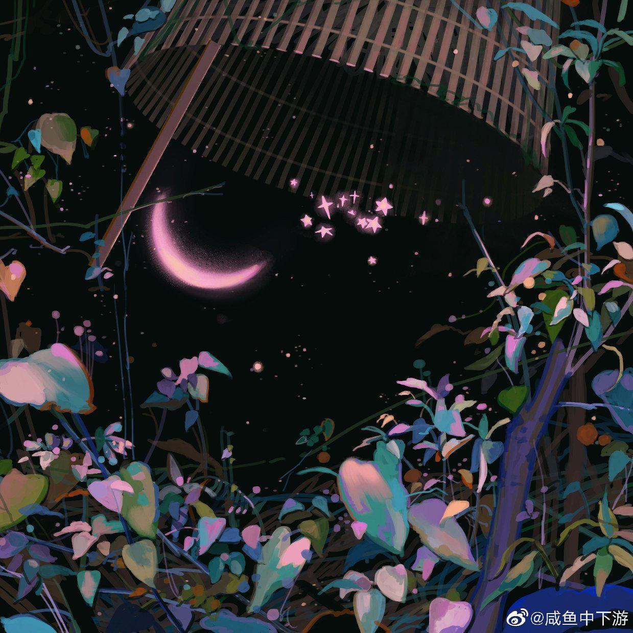 Dream Pop | 迷雾森林中的遗失宝藏