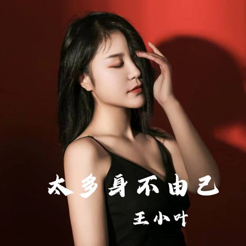 太多身不由己(DJ版)封面