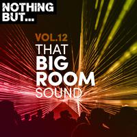 Nothing But... That Big Room Sound, Vol. 12