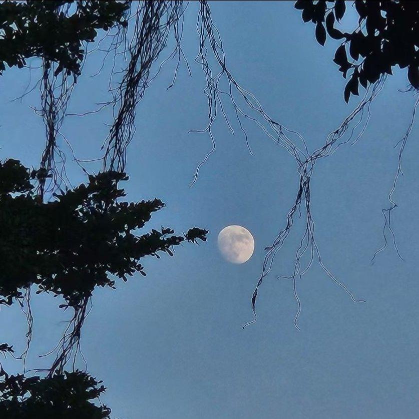 迷幻俄语系列真的很好听良心推荐