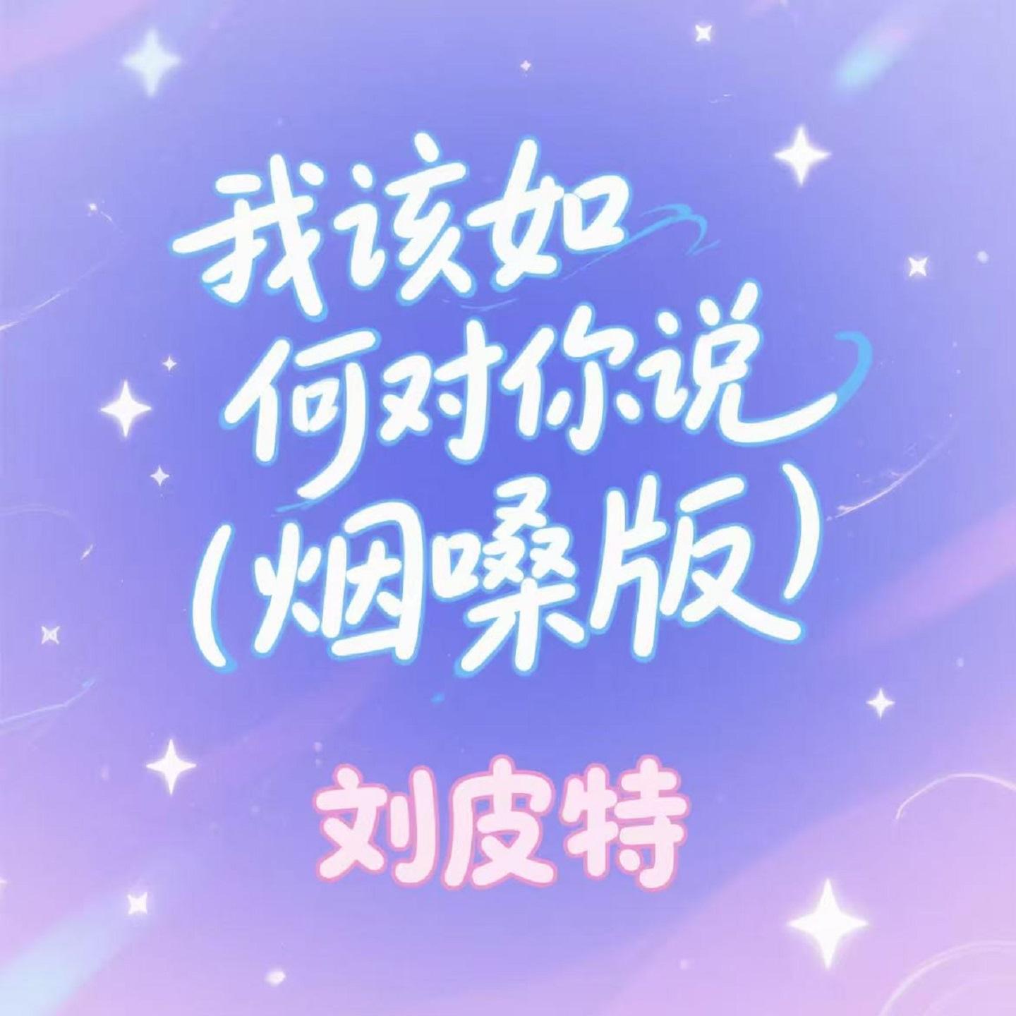 我该如何对你说 (烟嗓版)封面