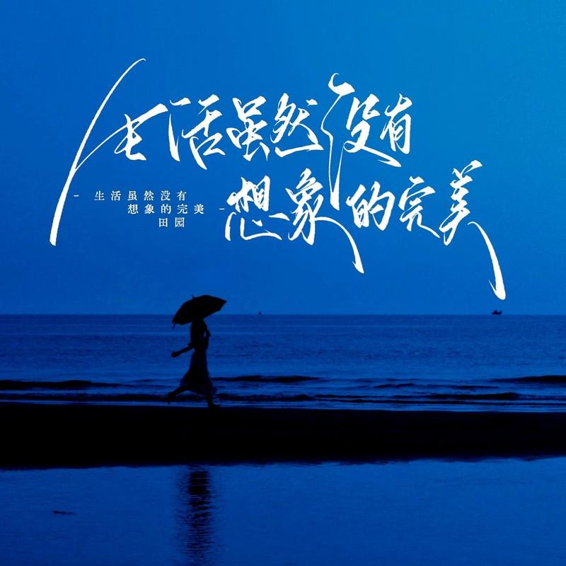 生活虽然没有想象的完美 (DJ沈念版)封面