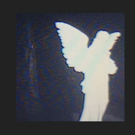 Taoism_Lil K_半山 | 在线播放_Taoism歌词_Taoism下载 | 网易云音乐