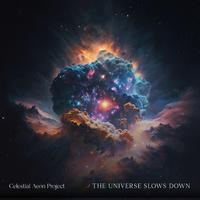 The Universe Slows Down