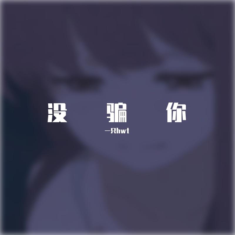 没骗你封面