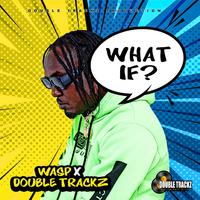 What If