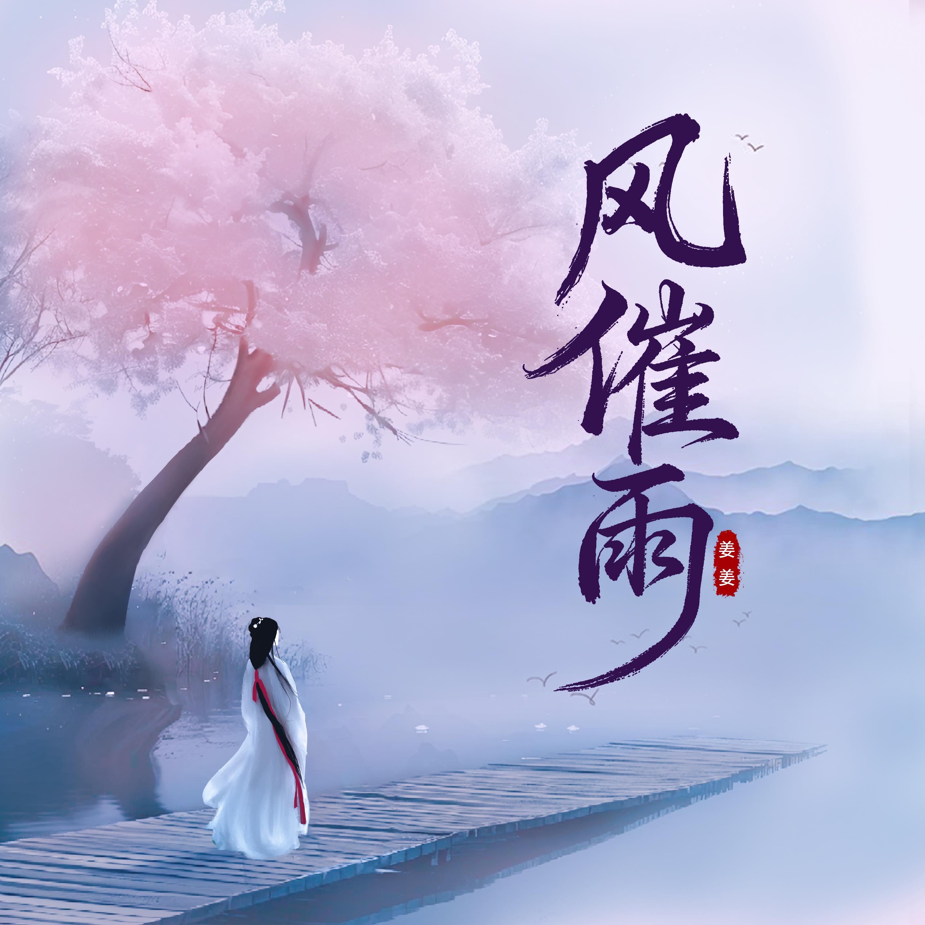 风催雨 (DJ降调版)封面