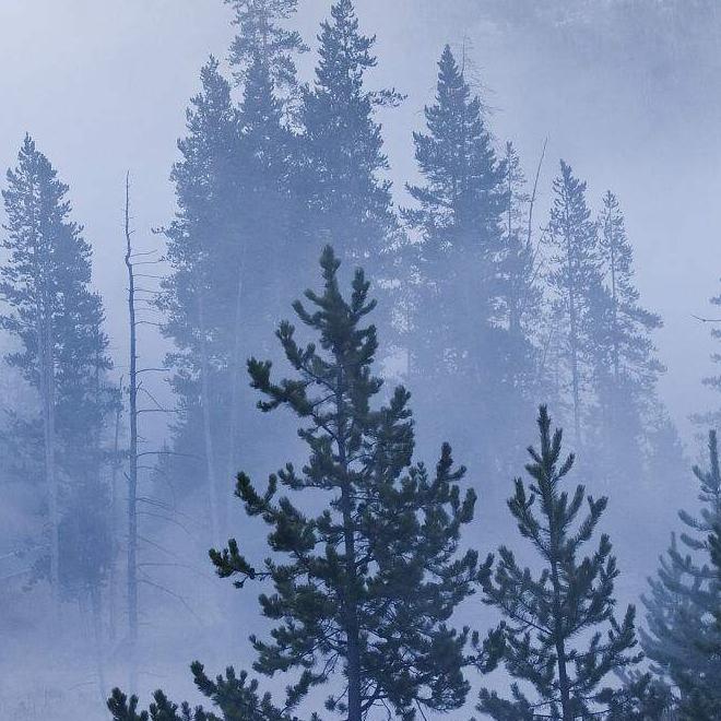 溺死在精神世界