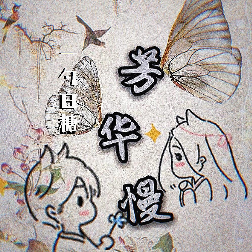 芳华慢封面