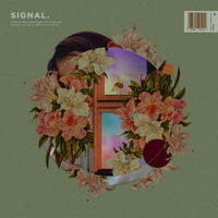 Signal