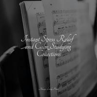 50 Comforting Sounds for Total Relaxation