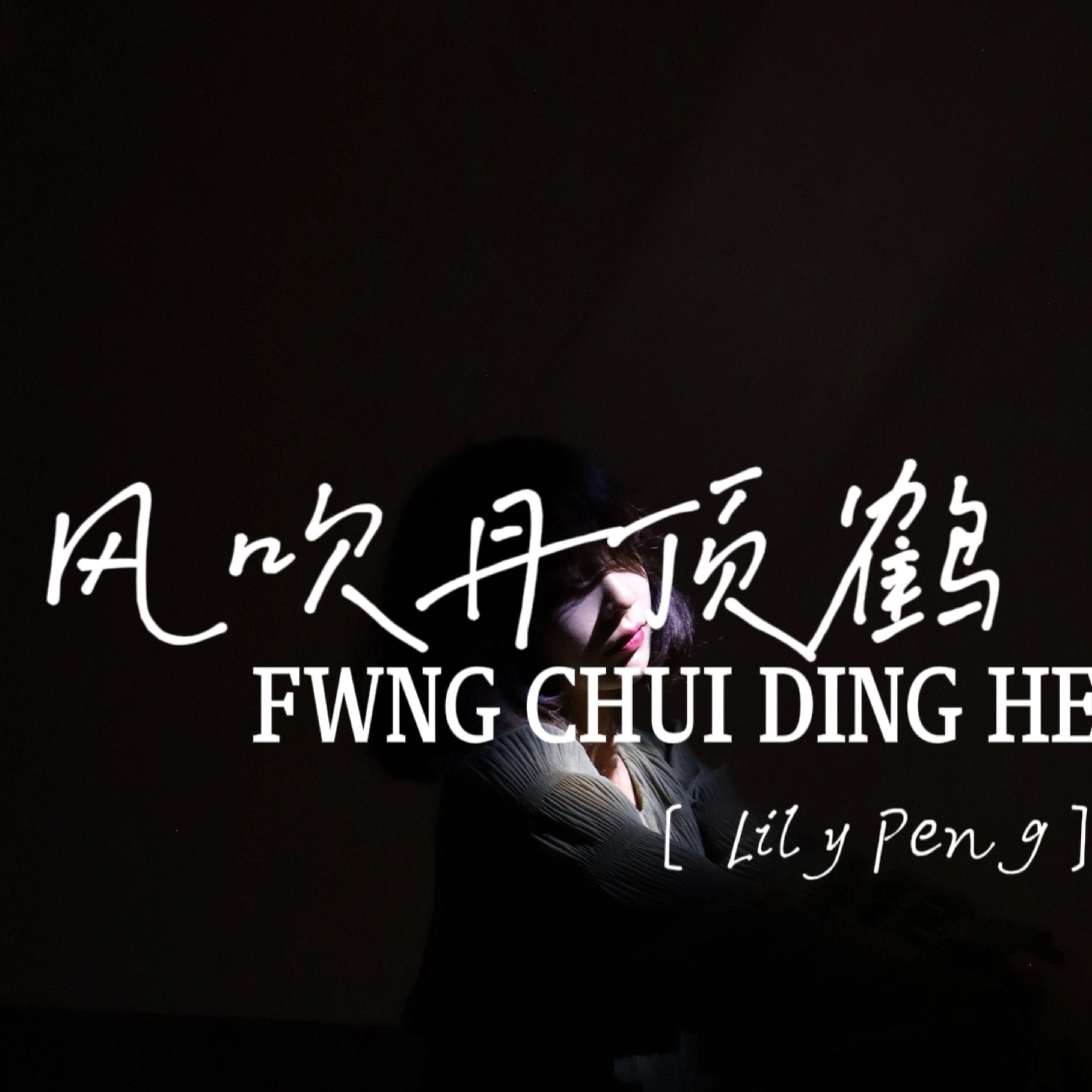 风吹丹顶鹤封面