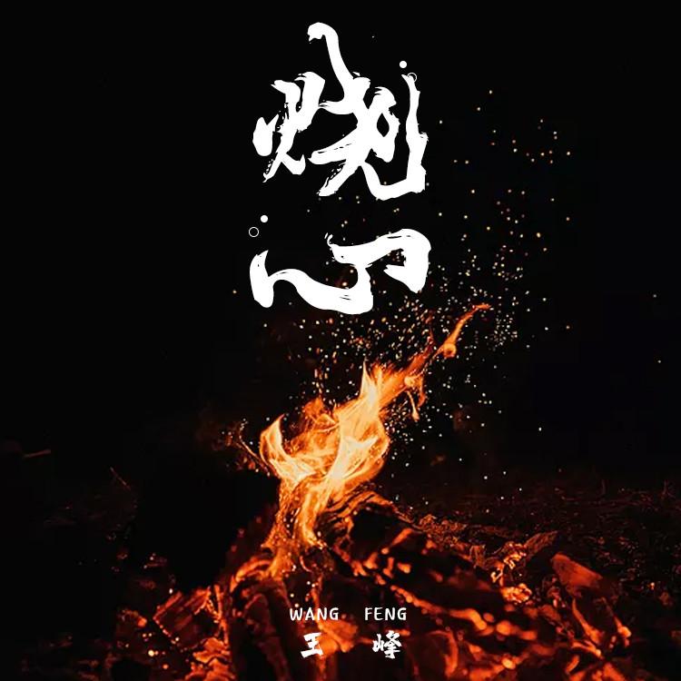 烧心 (DJ沈念版伴奏) - 王峰封面