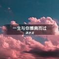 一生与你擦肩而过 (DJ弹鼓版) - 泽亦龙封面