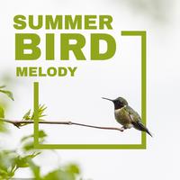 Summer Bird Melody - Healing Nature Full of Relaxation and Relief