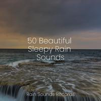 50 Beautiful Sleepy Rain Sounds