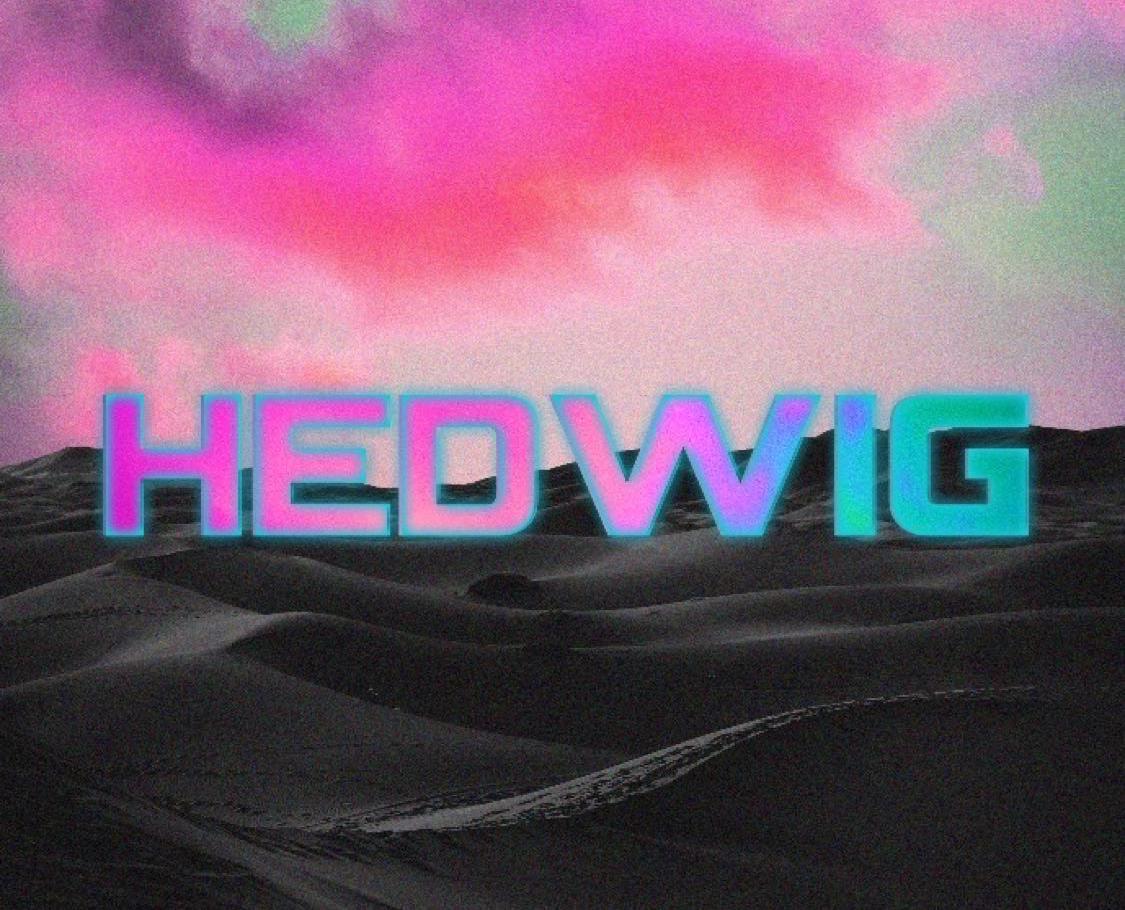 海德薇乐队(THE HEDWIG)