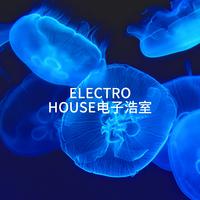 Electro House电子浩室