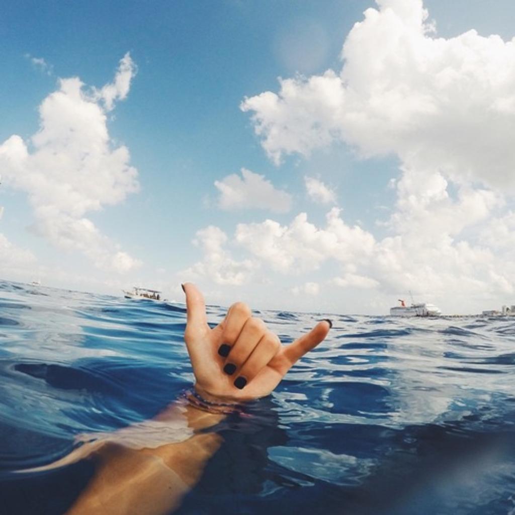 Tropical House 绝佳精品