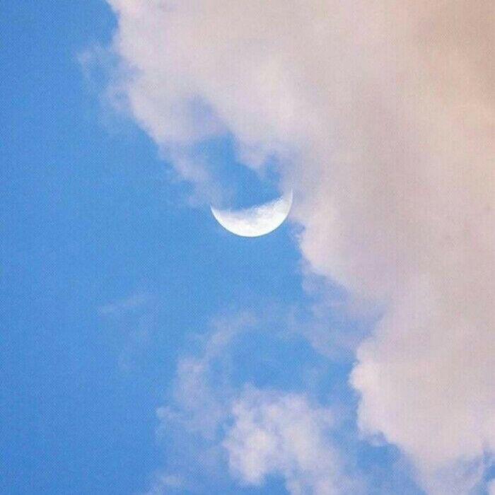 私奔到月球封面