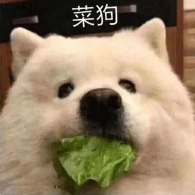 他还是不懂(翻S.H.E)封面